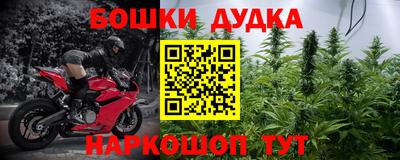 индика Кулебаки