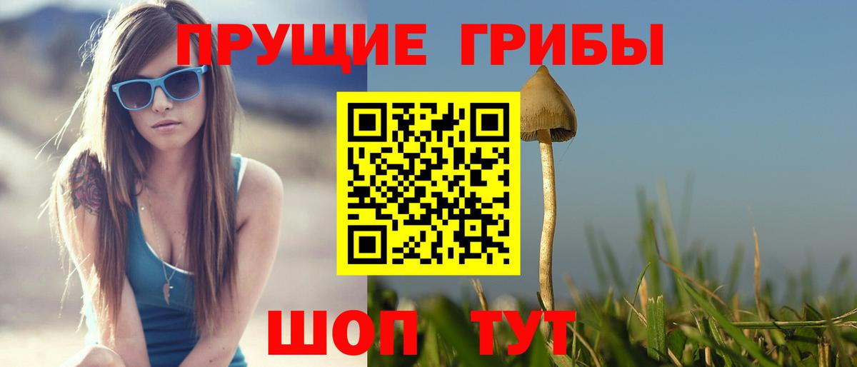 Галлюциногенные грибы прущие грибы  Вход с VPN  как найти наркотики  Кирово-Чепецк 